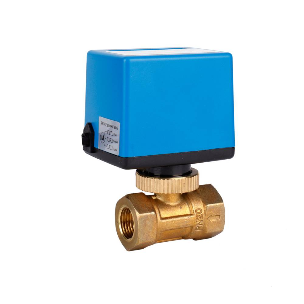 Electric two-way valve